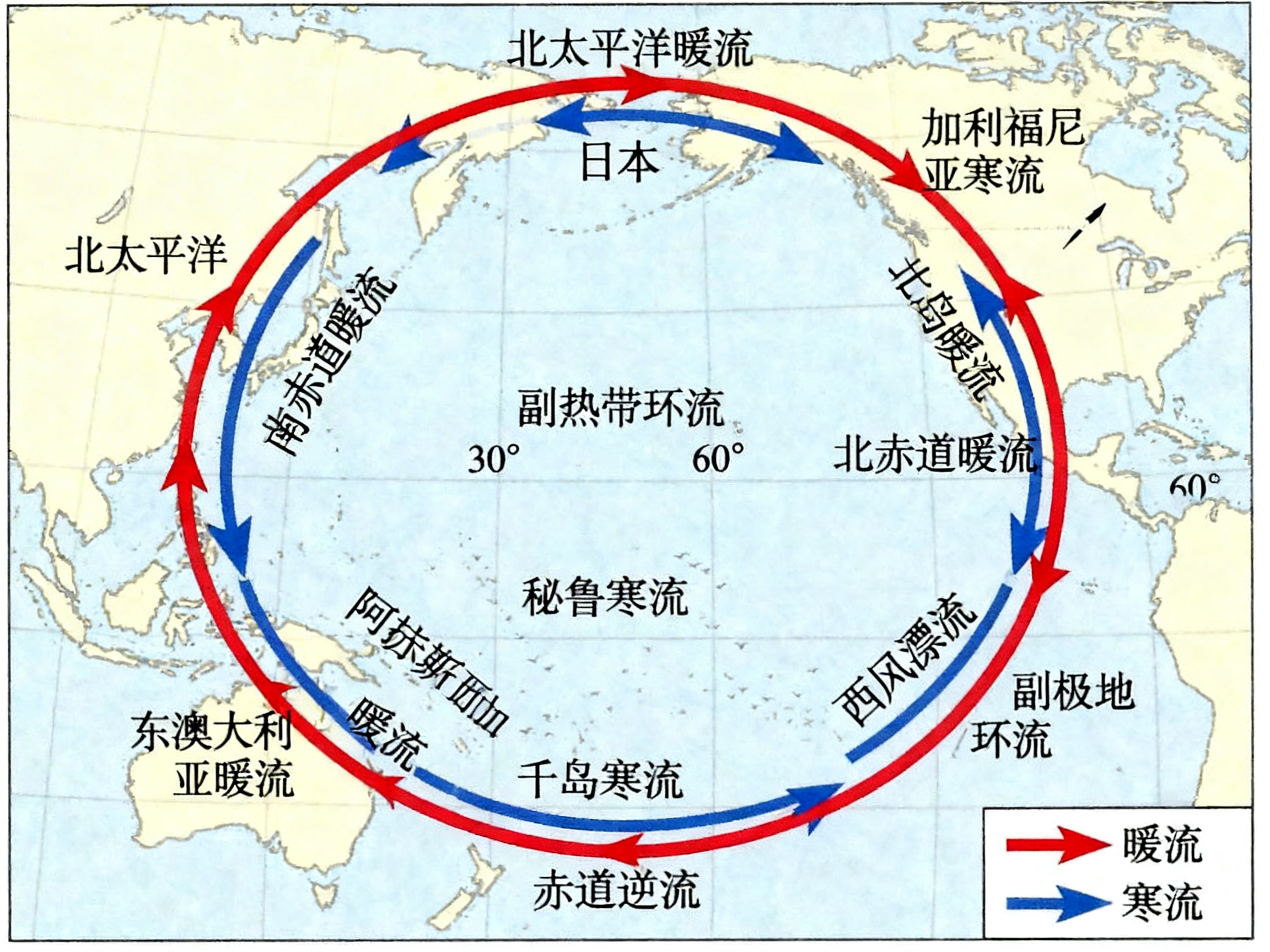 画面中展示了一张以太平洋为中心的全球洋流分布示意图。背景是浅黄色的陆地轮廓和淡蓝色的海洋，构图中心是一个由红色和蓝色箭头组成的巨大双层环流圈。红色箭头代表暖流，蓝色箭头代表寒流。图中详细标注了多个洋流名称，如北太平洋暖流、秘鲁寒流等。然而，这张图片存在严重的 AI 生成缺陷，导致地理逻辑和文字信息完全错误：首先，地理位置大混乱，例如将“日本”标注在北美阿拉斯加附近，将“南赤道暖流”标注在亚洲东部，且澳洲大陆旁标注的是“东澳大利亚暖流”但箭头方向与实际相反。其次，文字内容张冠李戴，如“加利福尼亚寒流”被错误写成“加利福尼亚亚寒流”，还出现了“阿拉斯加暖流”位置偏移等问题。整体而言，该图虽然色彩清晰，但由于 AI 对地理常识的错误理解，其教学参考价值极低，甚至具有误导性。