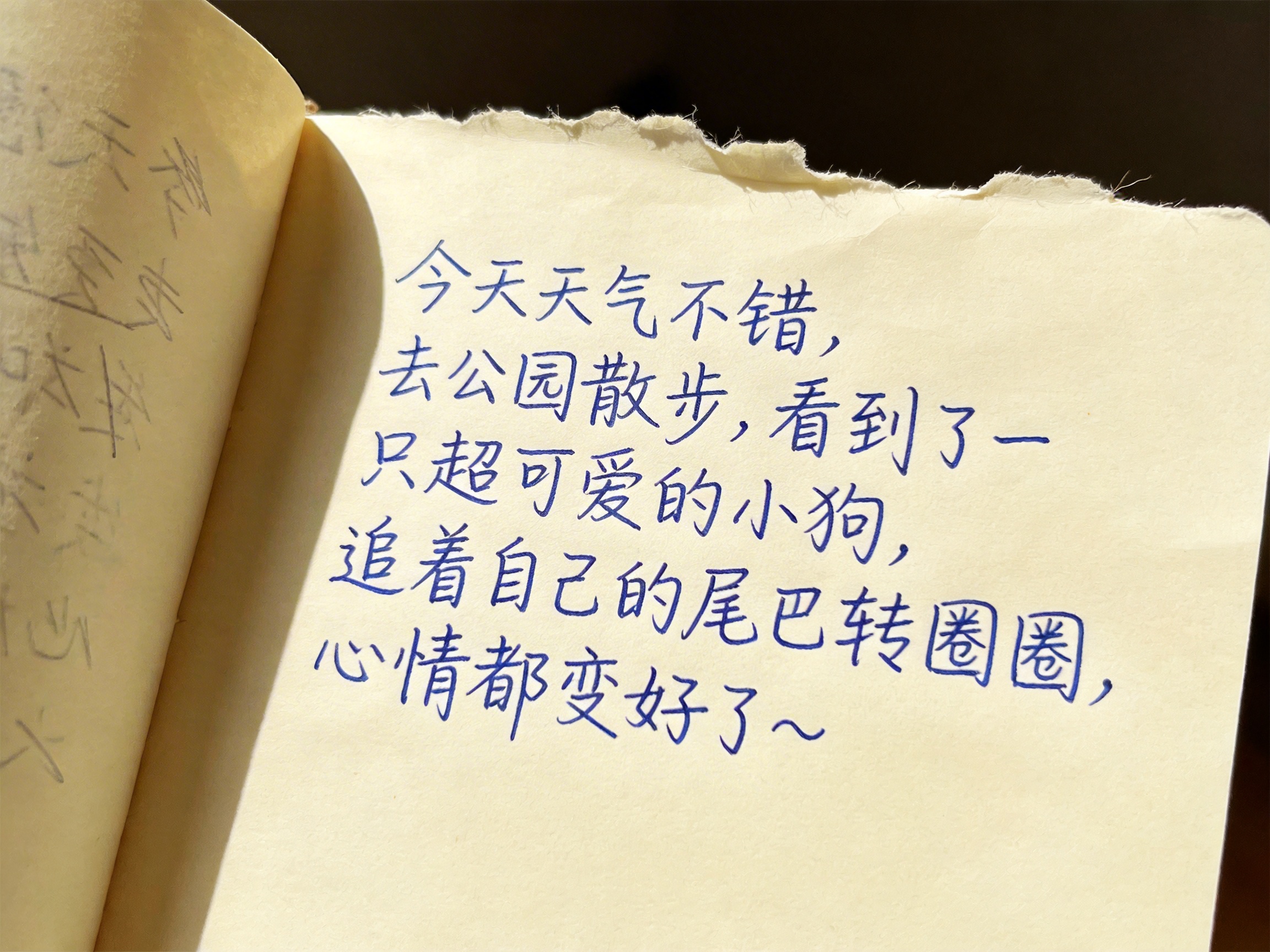 画面中展示了一本翻开的旧笔记本，纸张呈现温暖的淡黄色，质感略显粗糙。笔记本的边缘有明显的撕裂痕迹，显得有些陈旧。纸上用蓝色圆珠笔书写着一段关于天气、公园散步和可爱小狗的中文日记，字迹工整清晰。光线从侧面照射过来，在纸张左侧投下了柔和的阴影，营造出一种静谧的氛围。然而，这张图片存在明显的 AI 生成缺陷：首先，左侧翻开的页码上，文字呈现出无意义的乱码和扭曲的线条，与右侧清晰的文字形成鲜明对比；其次，纸张顶部的撕裂边缘显得过于规律且带有数字生成的毛刺感，不符合真实纸张撕裂的物理特征；最后，右侧文字虽然可读，但部分笔画的粗细衔接不够自然，透视角度也略显生硬。