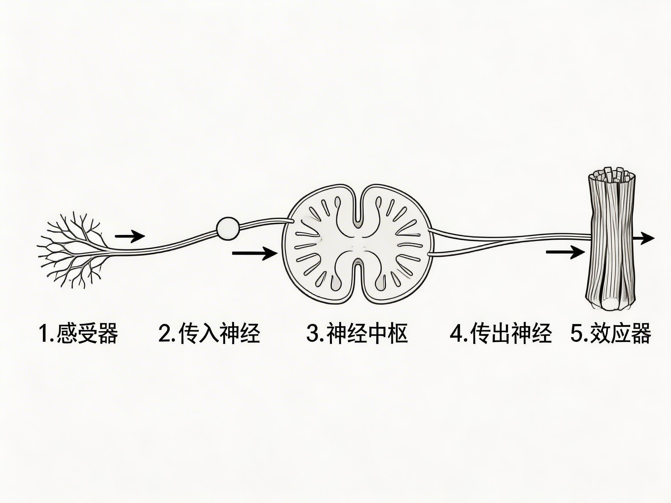 AI 生成图片，模型：doubao-seedream-5-0