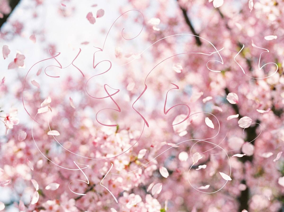 画面中展现了一幅充满春意的樱花盛开景象。背景是密密层层的粉红色樱花树，花朵繁茂，色彩柔和，呈现出一种梦幻的浅粉色调。天空中飘落着许多轻盈的樱花瓣，营造出“樱花雨”的浪漫氛围。构图上采用了浅景深效果，使得远处的花簇显得模糊，增强了画面的层次感。在画面的前景，叠加了一些纤细、卷曲的线条，这些线条勾勒出了类似日文假名“さくら”（樱花）的轮廓，线条颜色在粉色与白色之间渐变，仿佛随风舞动的丝带。

作为 AI 生成的图像，画面存在一些明显的逻辑缺陷：前景中的日文假名线条显得非常杂乱，部分笔画断裂或与背景花瓣不自然地融合，缺乏真实书法的连贯性。此外，部分飘落的花瓣在边缘处显得过于锐利或模糊不均，与背景的透视关系略显违和，且部分花瓣的形状呈现出不规则的碎片状，失去了植物自然的形态特征。