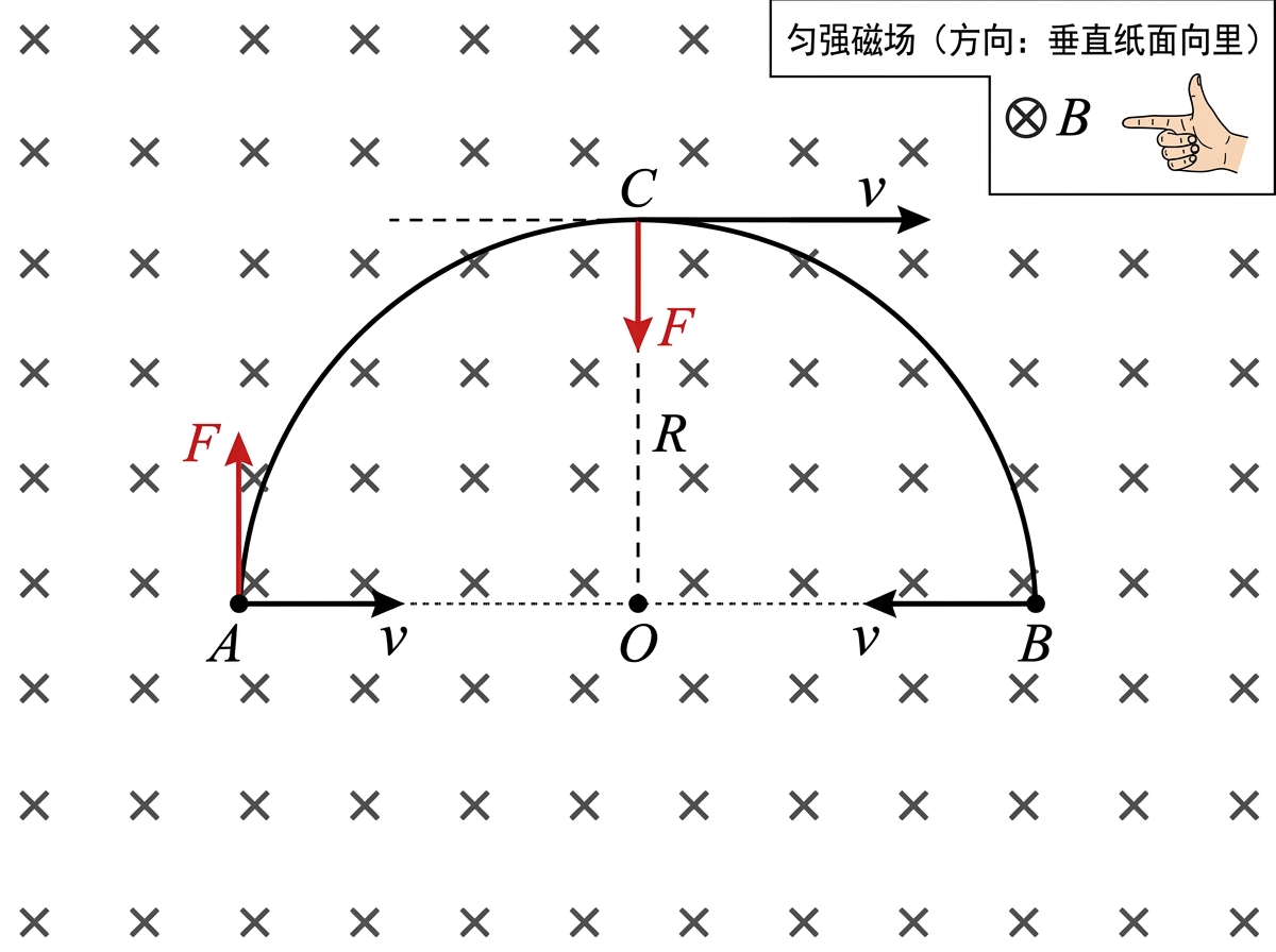 图中展示了一张关于物理学中带电粒子在匀强磁场中运动的示意图。背景布满了均匀排列的“X”符号，表示磁场方向垂直纸面向里。画面中央是一个半圆形的运动轨迹，连接着底部的 A、B 两点，圆心标注为 O。在 A 点，一个向右的黑色箭头表示速度 v，一个向上的红色箭头表示洛伦兹力 F；在半圆顶部的 C 点，速度 v 向右，力 F 向下指向圆心；在 B 点，速度 v 向左。右上角有一个文本框，写着“匀强磁场（方向：垂直纸面向里）”，并配有一个手势示意图。

这张图片存在明显的 AI 生成缺陷：右上角的手势图示非常诡异，手部结构严重畸形，手指的数量和关节连接方式完全不符合人体解剖学，看起来像是多根扭曲的手指随机组合在一起。此外，虽然这是一张物理原理图，但 A 点和 C 点标注的洛伦兹力 F 的方向逻辑并不统一，且 B 点的速度方向与 A 点出发的连续运动轨迹在物理逻辑上存在冲突。部分文字和字母的排版略显生硬，线条交汇处有细微的模糊感。