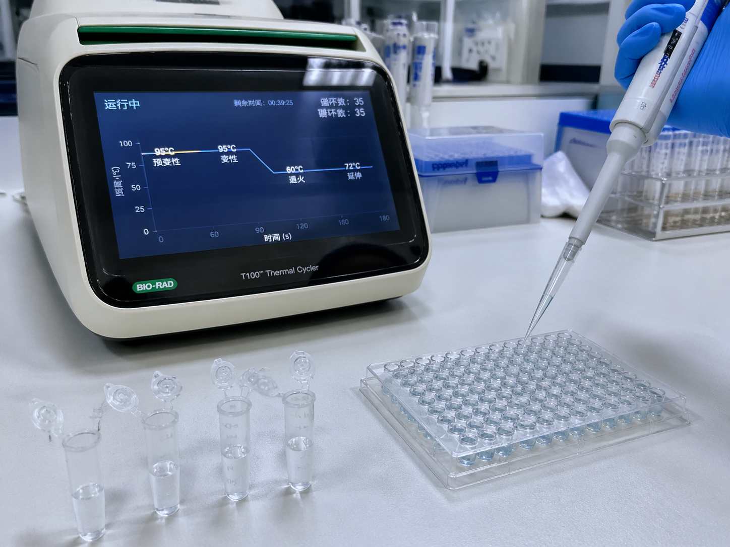 AI 生成图片，模型：GPT Image 2