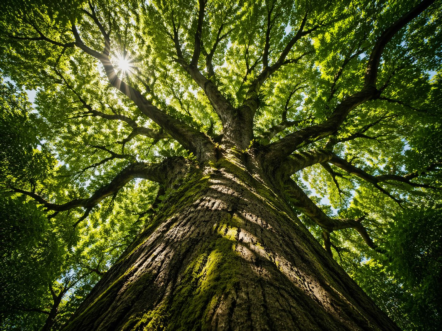 AI 生成图片，模型：GPT Image 2