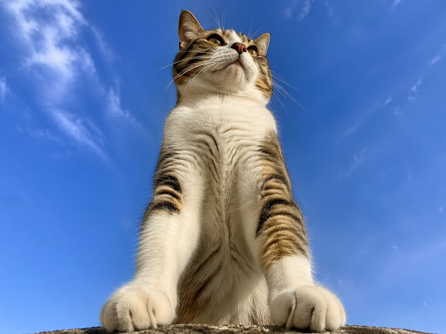 AI 生成图片，模型：GPT Image 2