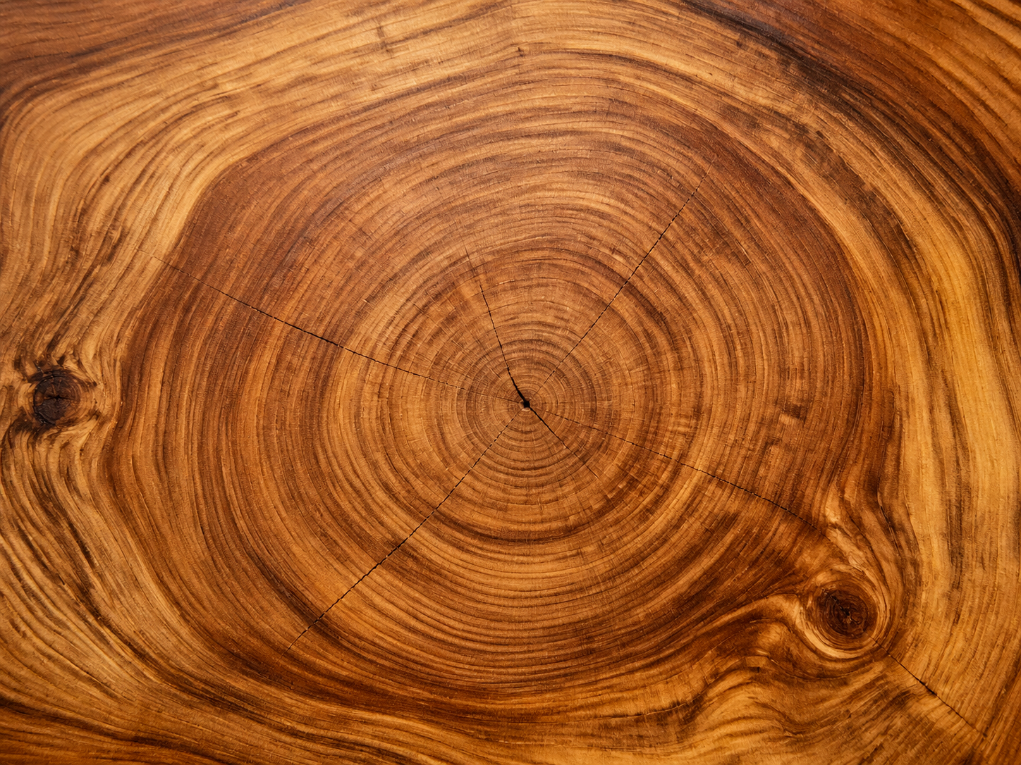 AI 生成图片，模型：GPT Image 2