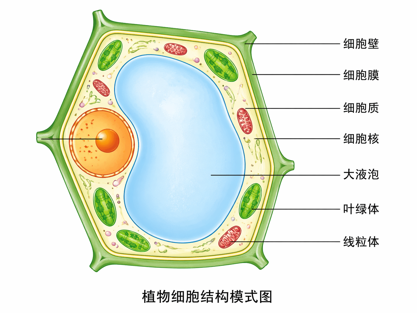AI 生成图片，模型：GPT Image 2