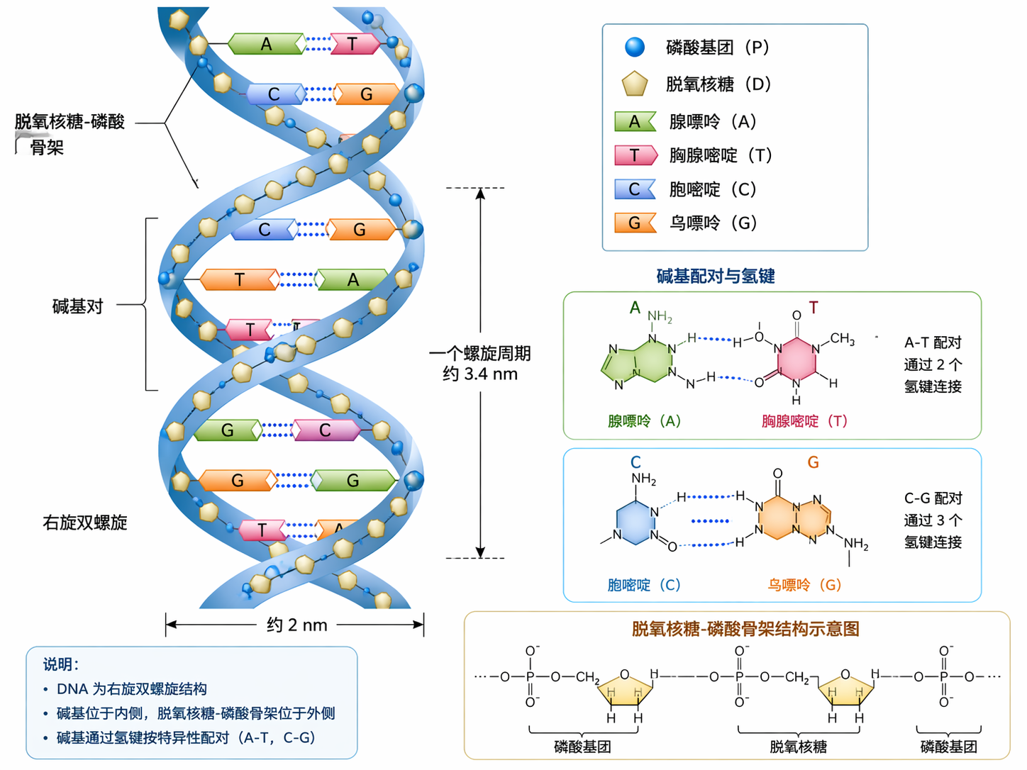 AI 生成图片，模型：GPT Image 2