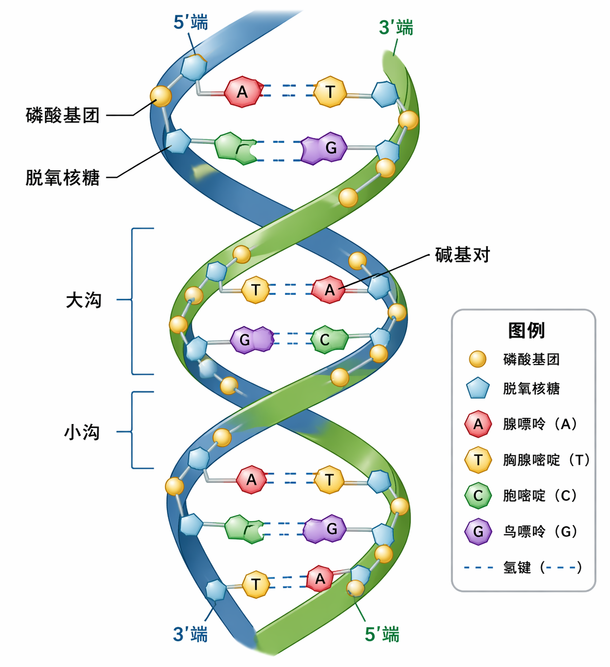 AI 生成图片，模型：GPT Image 2