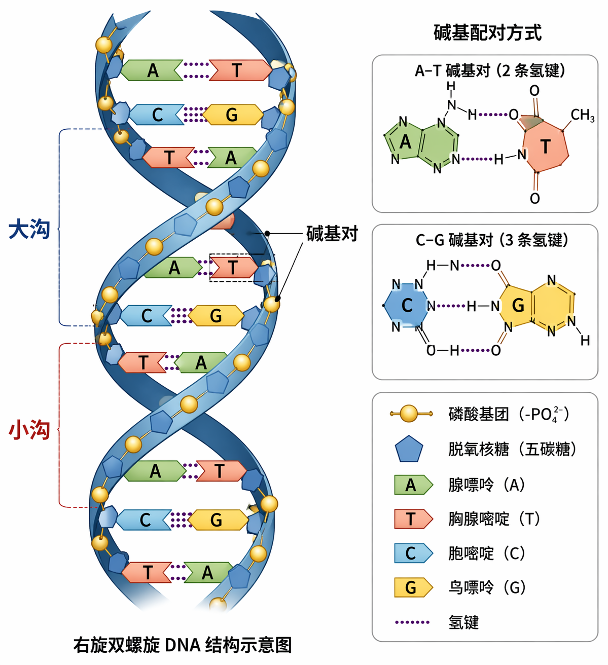 AI 生成图片，模型：GPT Image 2
