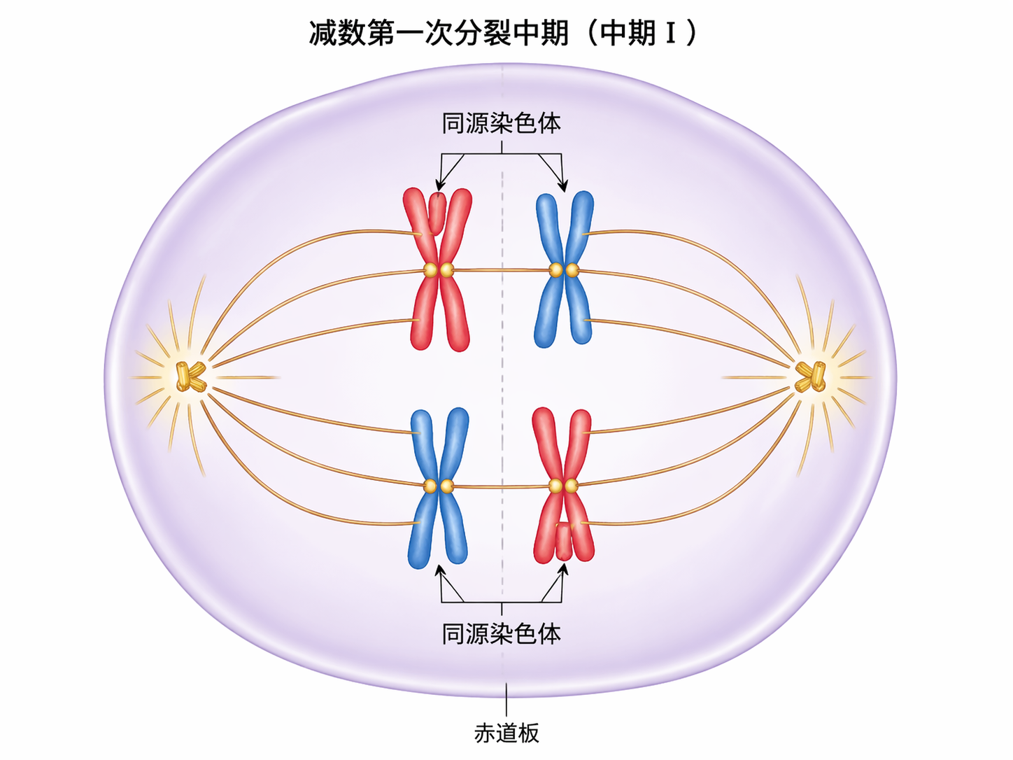 AI 生成图片，模型：GPT Image 2
