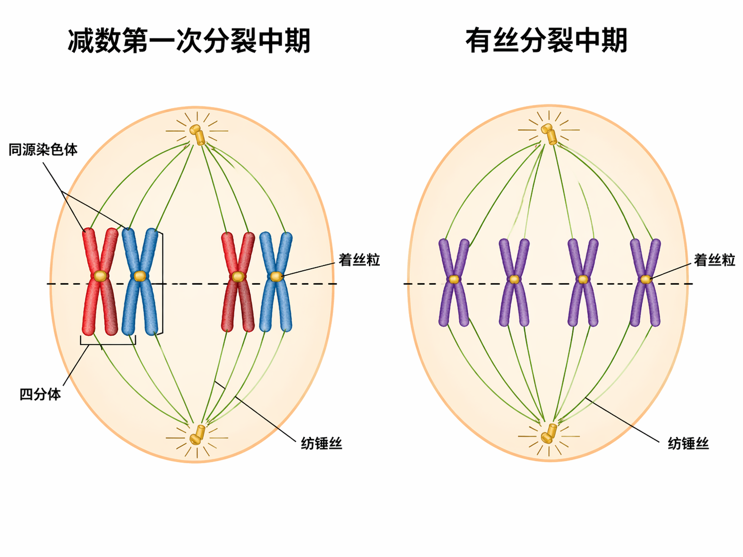 AI 生成图片，模型：GPT Image 2