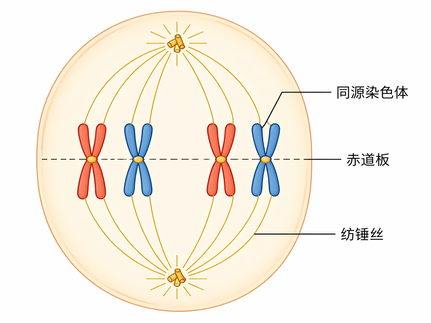 AI 生成图片，模型：GPT Image 2
