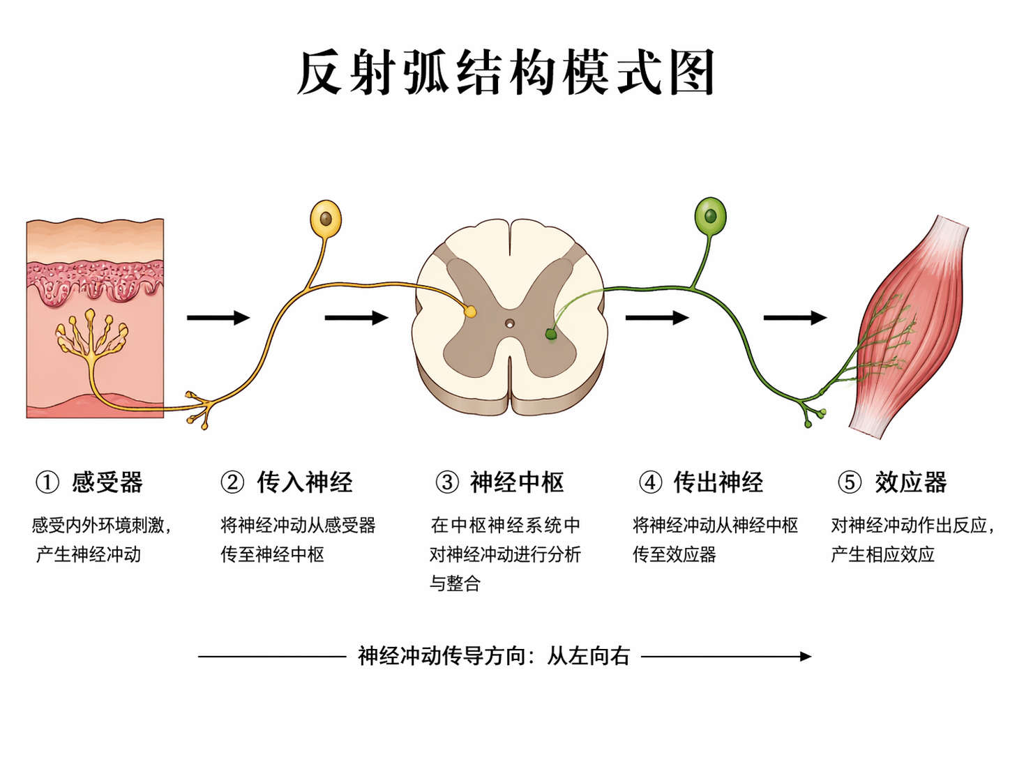 AI 生成图片，模型：GPT Image 2