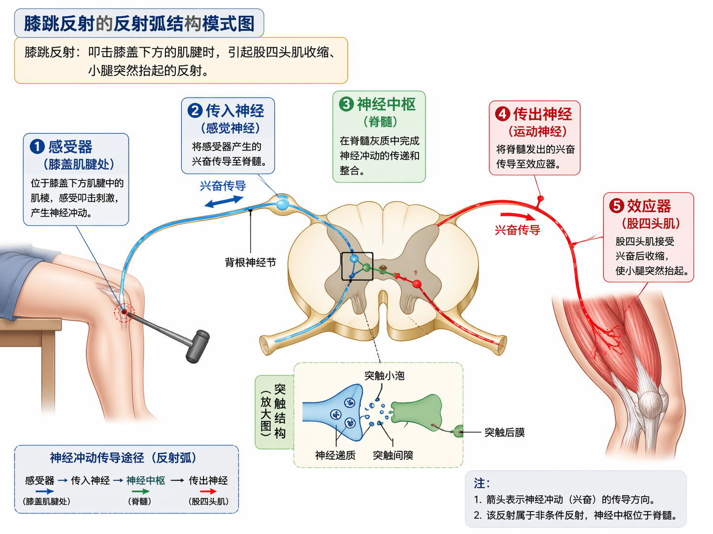 AI 生成图片，模型：GPT Image 2
