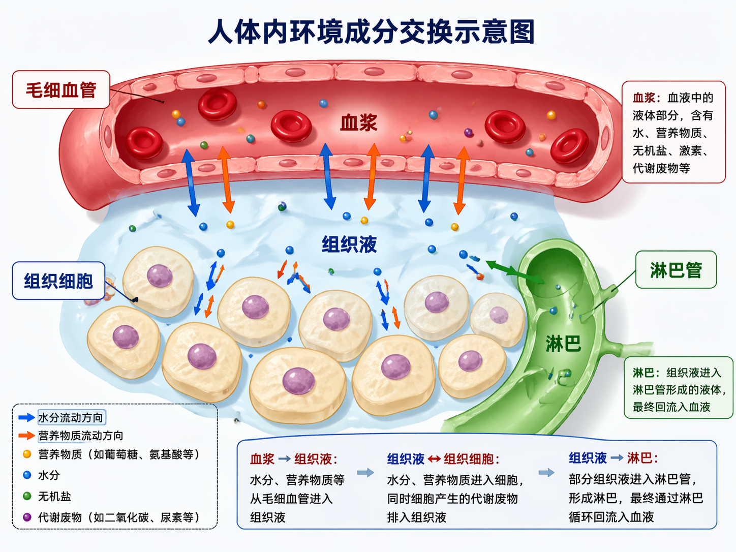 AI 生成图片，模型：GPT Image 2