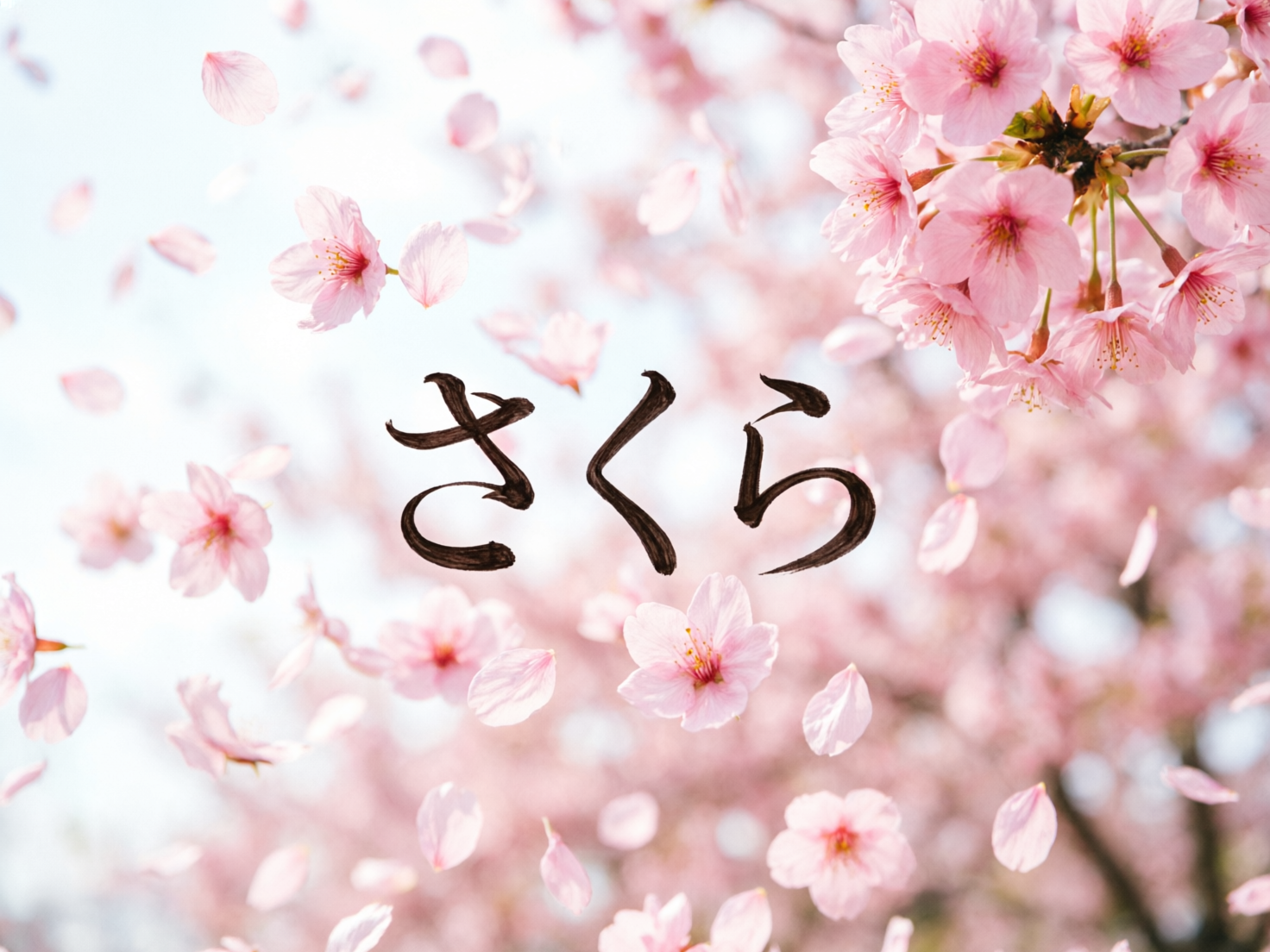图中展现了一个充满春天气息的唯美场景，画面中心是黑色的手写体日文假名“さくら”（意为樱花）。背景是盛开的粉红色樱花，花瓣呈现出柔和的浅粉色，花蕊处略带深红。构图上，右上角有一簇清晰的樱花挂在枝头，而画面其余部分则布满了纷纷飘落的花瓣，营造出“樱花雨”的浪漫氛围。背景光线明亮，呈现出淡蓝色的天空感，整体色调清新、明快。在 AI 生成的细节方面，可以观察到一些逻辑异常：部分飘落的花瓣在空中呈现出不自然的扭曲形状，且花瓣的透视关系略显混乱，有些花瓣像是直接粘贴在文字层之上，缺乏真实的空间深度感。此外，右上角花簇的枝干连接处显得有些模糊和结构生硬，文字的笔触边缘也存在轻微的锯齿感。