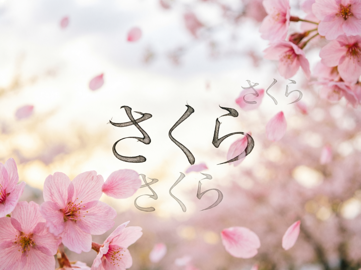 图中展现了一个充满春天气息的唯美场景，画面主体是盛开的粉红色樱花。构图上，左下角和右上角分布着清晰的樱花簇，花瓣呈现柔和的淡粉色，花蕊细节可见。背景是大片虚化的樱花林，伴随着纷纷飘落的花瓣，营造出梦幻的景深效果。画面中心叠加了黑色的日文平假名“さくら”（意为樱花），字体带有水墨书法质感，其上方和下方还各有一组半透明的相同文字作为装饰。光线明亮且柔和，整体色调以粉色、白色和浅金色为主。在 AI 生成的细节方面，可以观察到画面中央文字周围的花瓣存在透视异常，部分花瓣似乎直接穿过了文字笔画，缺乏自然的遮挡关系；此外，背景中部分飘落的花瓣形状过于模糊且边缘生硬，与真实摄影的动态模糊略有出入。