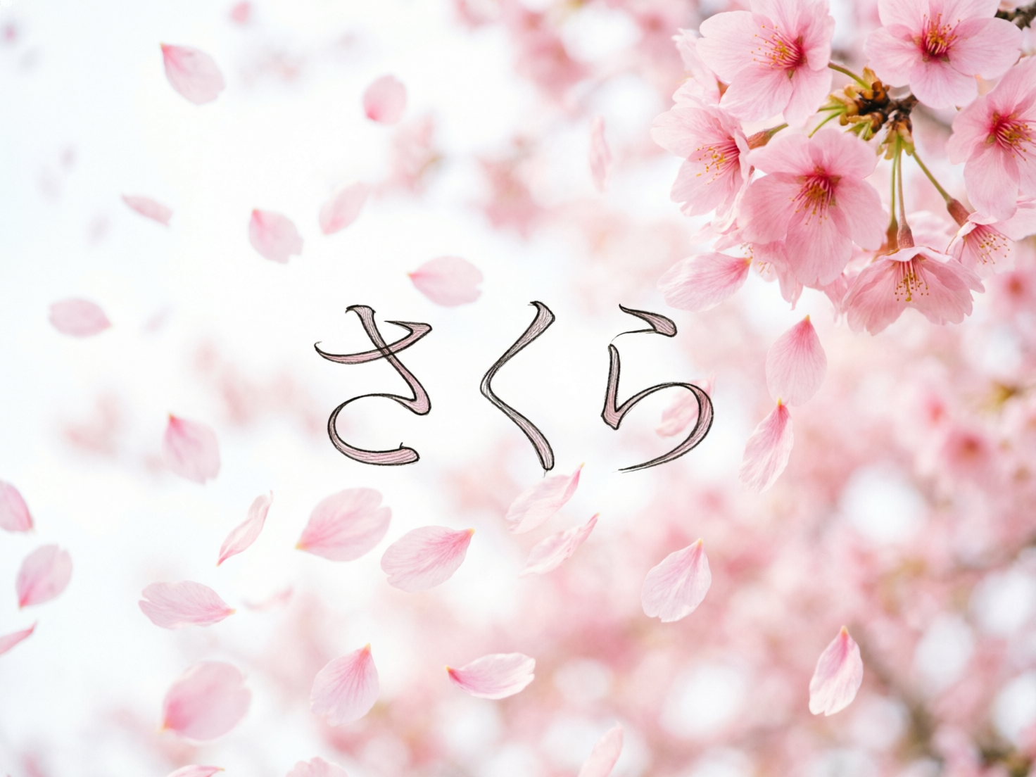 图中展示了一个充满春天气息的唯美场景，主题是盛开的粉色樱花。画面右上角有一簇清晰的樱花，花瓣呈现出柔和的浅粉色，花蕊细节可见。背景是大面积虚化的粉白色调，伴随着许多正在随风飘落的樱花瓣，营造出一种梦幻的“樱花雨”氛围。画面正中央悬浮着三个黑色的日文平假名“さくら”（意为樱花），字体带有手写感。在 AI 生成的细节方面，可以观察到文字的笔画边缘存在不自然的重影和粉色填充，似乎与背景花瓣产生了错误的融合。此外，部分飘落的花瓣在透视和光影上显得有些生硬，缺乏真实的物理厚度感，右侧花簇的分支连接处也略显模糊，不够自然。整体构图清新，色彩以粉、白、黑为主。