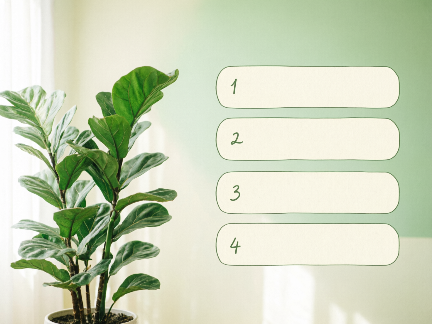 图中展示了一个清新简约的室内场景。画面左侧是一盆茂盛的琴叶榕盆栽，深绿色的叶片宽大且富有质感，盆栽被放置在白色花盆中，背景是柔和的浅黄色墙壁和透光的白色窗帘。画面右侧是一面淡绿色的墙壁，上方悬浮着四个带有手绘风格的米白色圆角矩形文本框，从上到下依次标注着数字1至4，数字采用深绿色手写体。整个构图简洁，光线明亮自然，给人一种宁静、有条理的感觉。在 AI 生成的细节方面，可以观察到琴叶榕的叶片生长逻辑略显混乱，部分叶片重叠处边缘模糊，且右侧悬浮的文本框与背景墙面的透视关系不够自然，缺乏真实的阴影投射，显得像是后期叠加的图层。此外，左下角花盆的边缘与背景的衔接处处理得较为生硬。