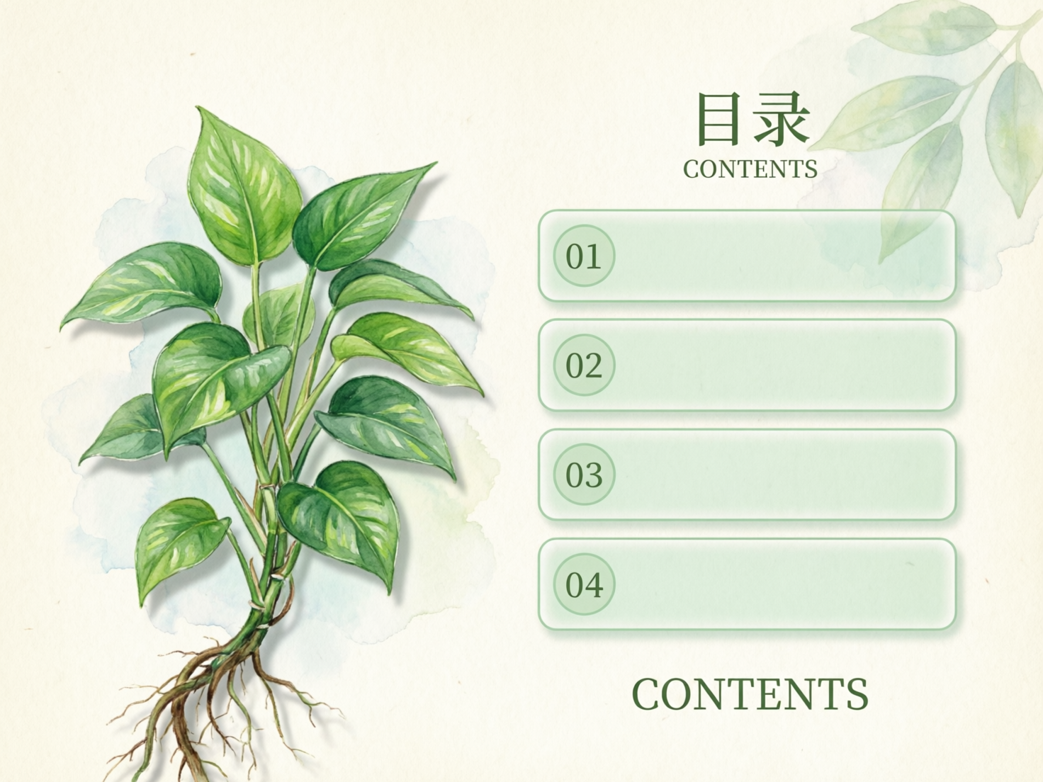 图中展示了一张清新简约的水彩风格目录模板。画面背景为米白色纸质纹理，左侧是一株手绘感十足的绿萝植物，叶片呈现翠绿与嫩黄相间的花纹，根部裸露并带有褐色的须根。右侧排列着四个淡绿色的半透明圆角矩形框，框内分别标有数字01至04，用于填写标题。右上角有“目录”及英文“CONTENTS”字样，底部也重复出现了大写的“CONTENTS”。整体色调以绿色和米色为主，给人一种自然、宁静的视觉感受。在AI生成的细节方面，存在明显的逻辑缺陷：左侧植物的根茎连接处显得杂乱且不自然，部分根须像是凭空生长出来的；此外，右侧的文字布局略显重复，底部的英文单词与上方的标题功能重叠，且右上角的背景叶片边缘处理较为模糊，与主体的精细度不匹配。