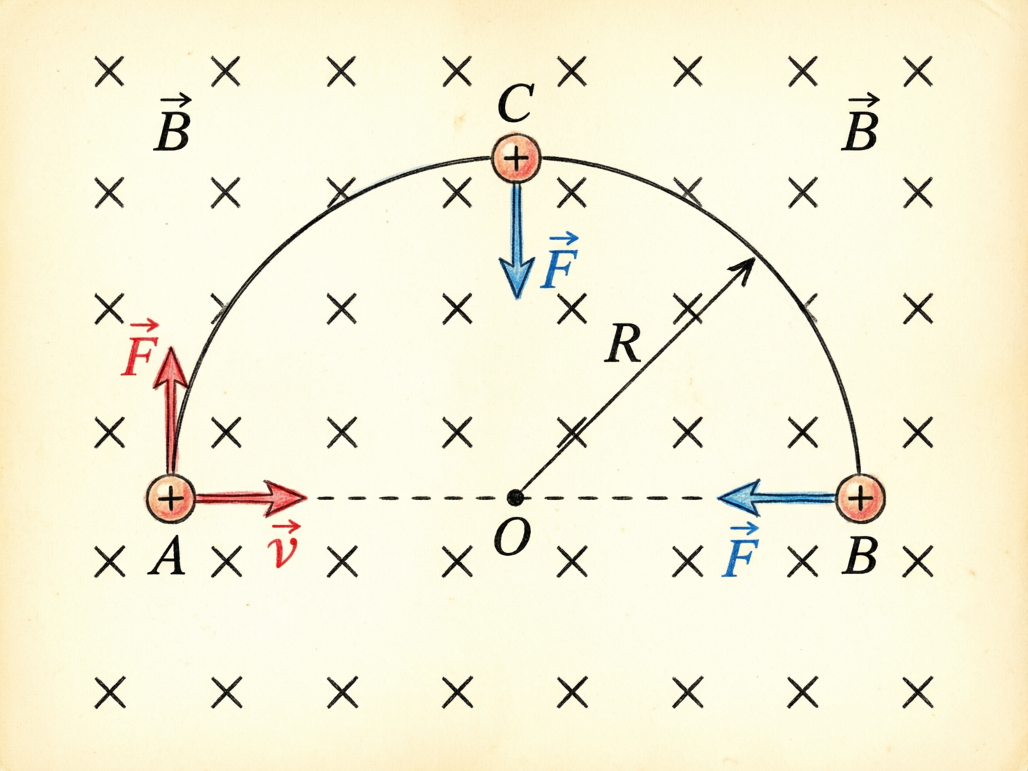 画面中展示了一张手绘风格的物理学示意图，背景是带有复古质感的淡黄色纸张，上面布满了代表垂直纸面向里磁场的“X”符号。图中描绘了一个带正电的粒子在磁场中做半圆周运动的过程。半圆的圆心标注为 O，半径标注为 R。在左侧起点 A 处，粒子带有向右的速度矢量 v 和向上的力矢量 F；在顶端 C 处，受力矢量 F 指向圆心；在右侧 B 处，受力矢量 F 指向左侧。

作为 AI 生成的图片，画面存在明显的逻辑与科学标注错误：首先，字母标注极其混乱，磁感应强度符号 B 与右侧终点 B 重名，且图中出现了两个位置不同的 B 矢量；其次，物理逻辑自相矛盾，左侧 A 点的受力方向与运动轨迹不符（若受力向上，轨迹应向上弯曲而非向右平滑过渡）；此外，部分线条穿过了背景的叉号，显得层次生硬，且字母 F 的颜色在红色与蓝色之间随意切换，缺乏科学严谨性。