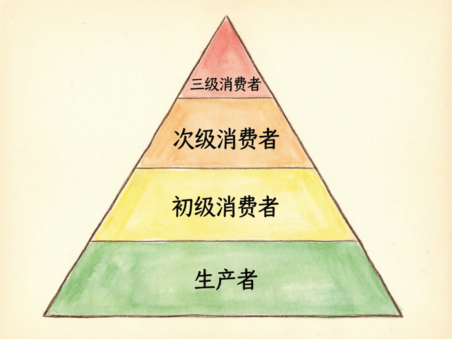 图中展示了一个手绘风格的生态金字塔模型，背景是带有轻微纹理的米白色纸张感。金字塔由下至上被分为四个彩色层级，每层都填充了类似水彩或彩笔的颜色。最底层是面积最大的绿色区域，标注着“生产者”；往上第二层是黄色，标注为“初级消费者”；第三层是橙色，标注为“次级消费者”；最顶端的小三角是红色，标注为“三级消费者”。文字均为黑色简体中文，居中排列。

在 AI 生成的细节方面，可以观察到金字塔的轮廓线条略显抖动，模拟了手绘的不规则感。明显的缺陷在于文字与背景的融合度：黑色的文字显得过于锐利和工整，与带有笔触感的色彩背景略有违和，像是后期直接叠加在手绘图上的。此外，金字塔左侧边缘的线条在不同颜色交界处有轻微的重合或断开，色彩填充也存在不均匀的色块边缘，这反映了 AI 在模拟自然绘画笔触时的局限性。