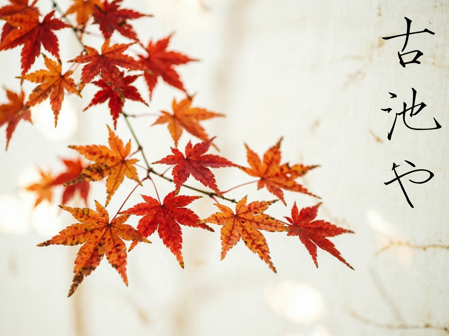 AI 生成图片，模型：qwen-image-2.0