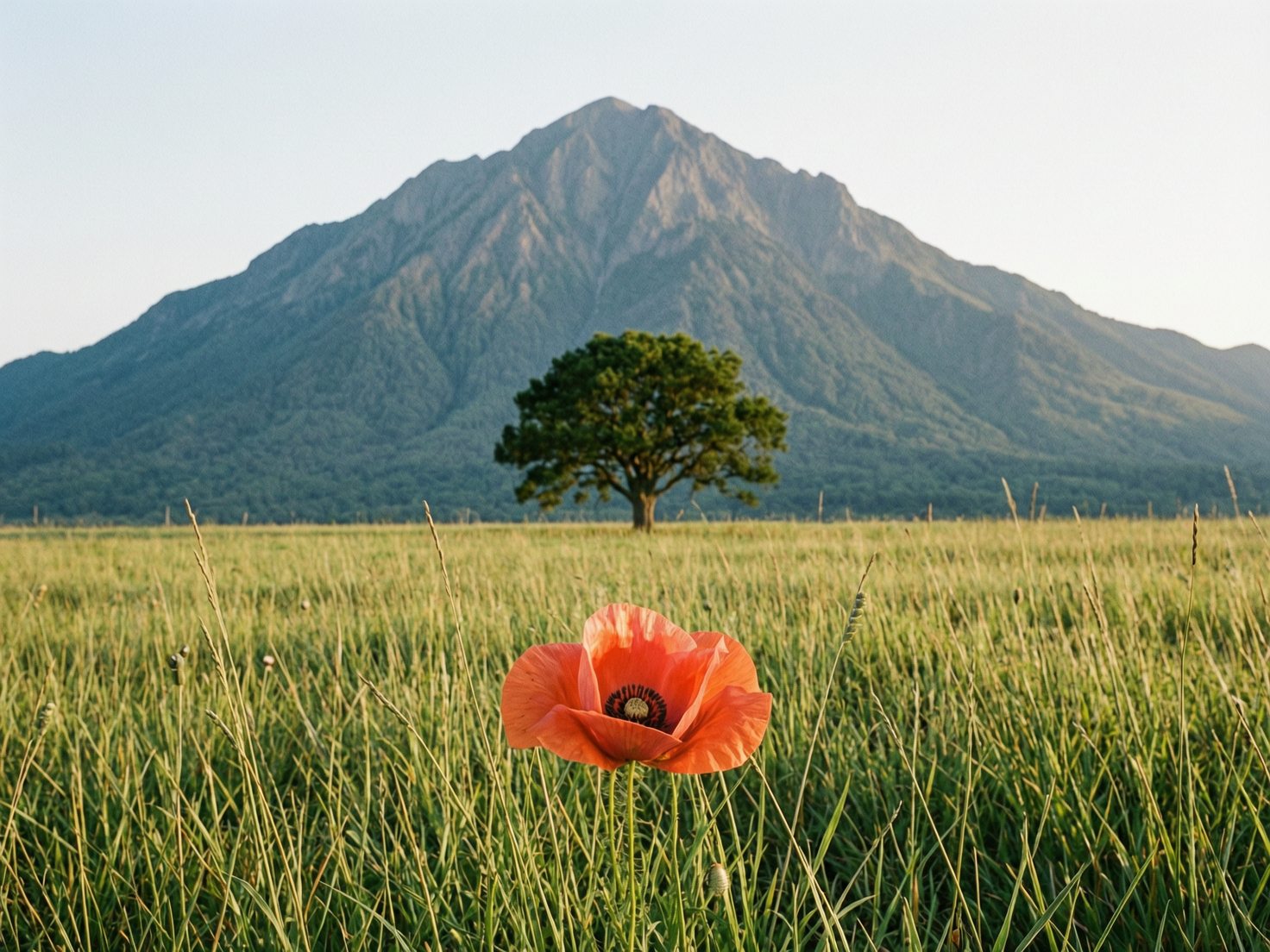 AI 生成图片，模型：wan2.7-image-pro