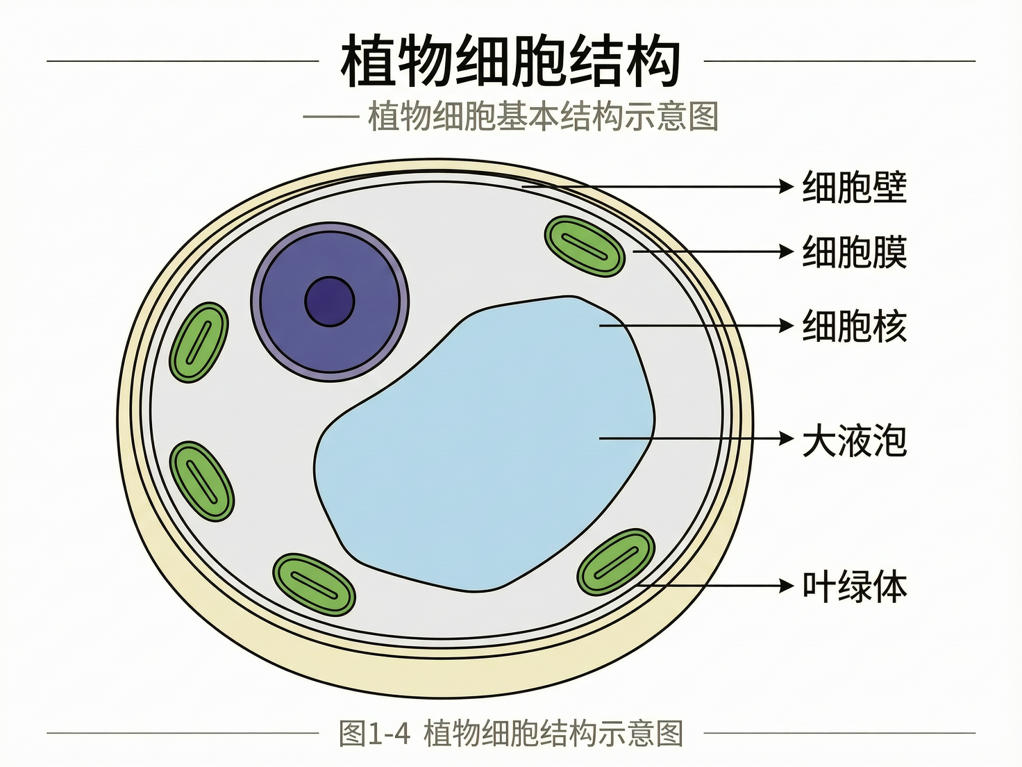 AI 生成图片，模型：wan2.7-image-pro