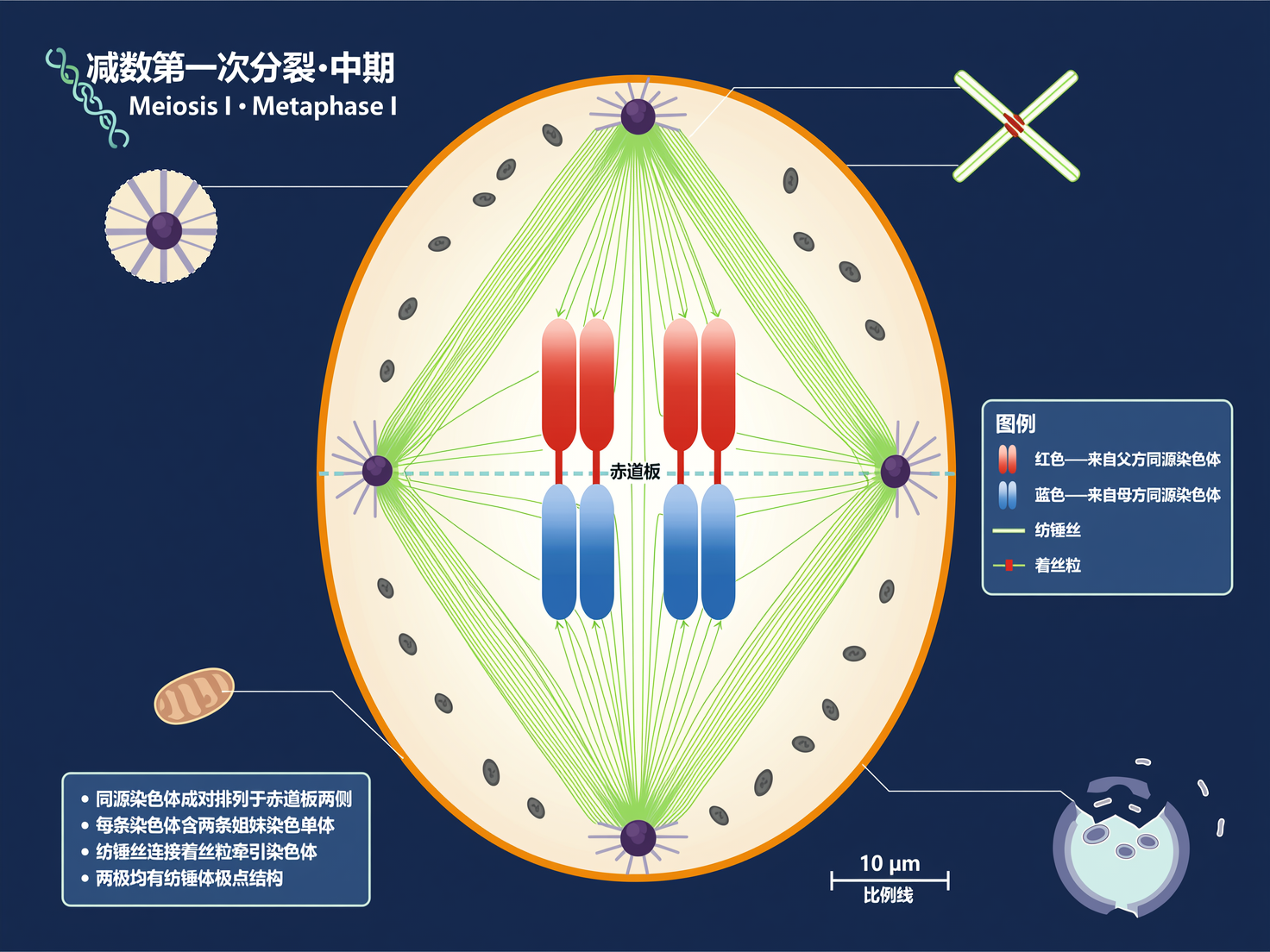 AI 生成图片，模型：wan2.7-image