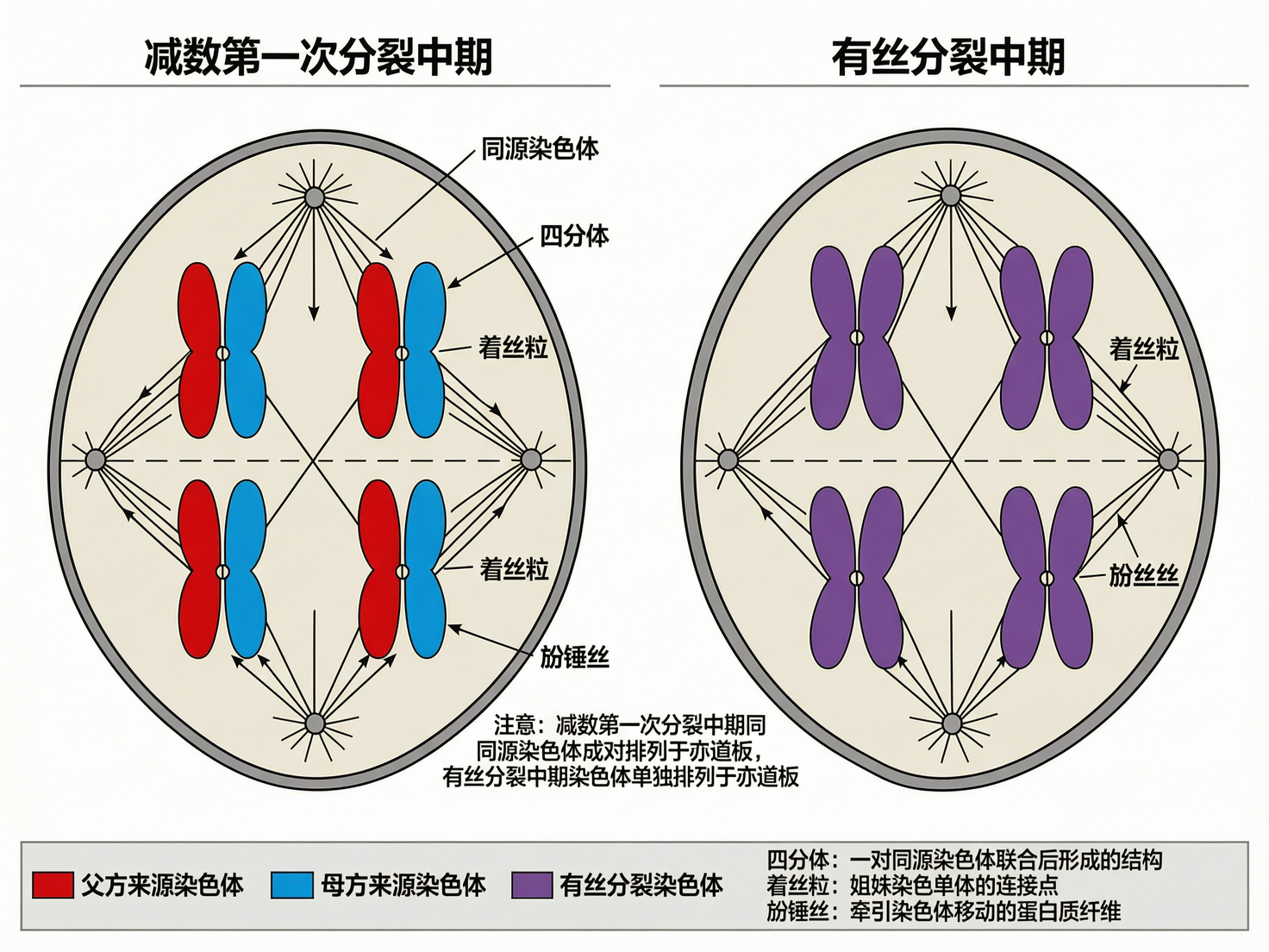 AI 生成图片，模型：wan2.7-image